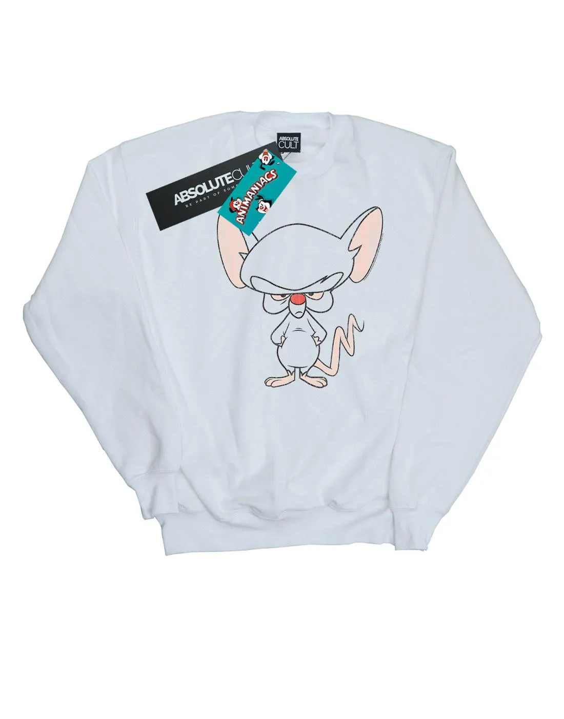 Animaniacs Womens/Ladies The Brain Classic Pose Sweatshirt